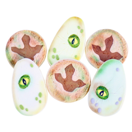 Dinosaur Hunt Cookie Set
