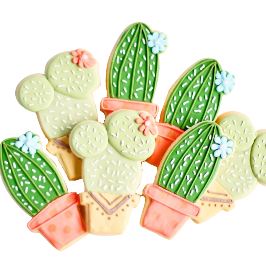 Potted Cactus Cookie Set