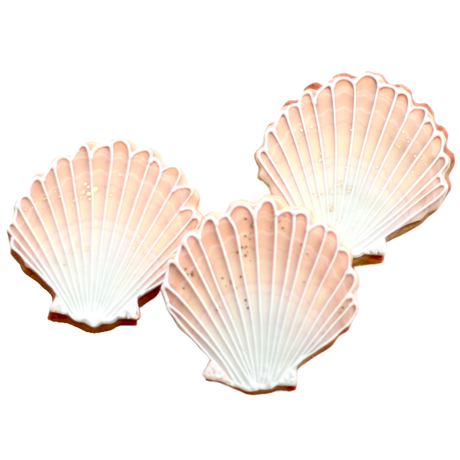 Scallop Seashell Cookies