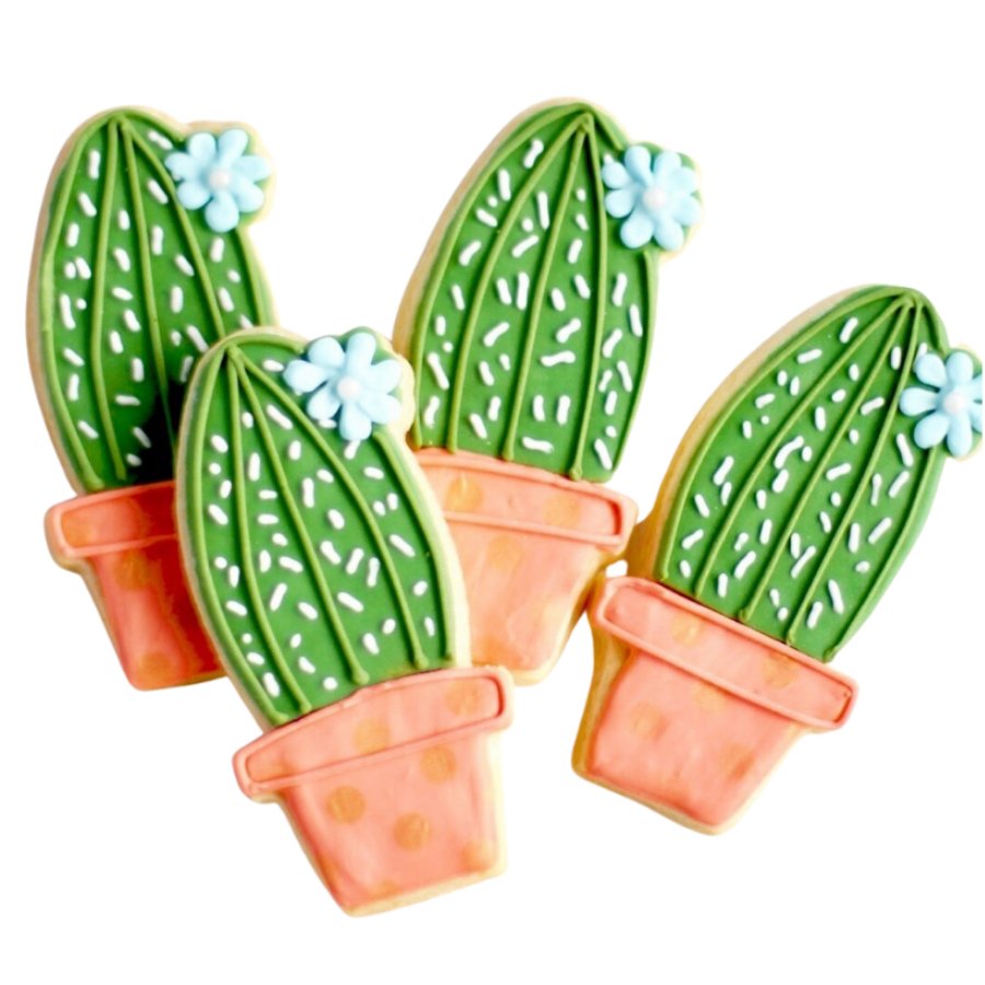 Potted Cactus Cookie Set