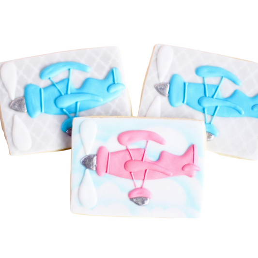 Vintage Sky Plane Cookies