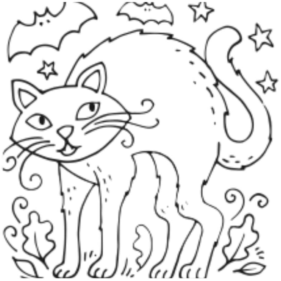 Animal Paint Your Own Cookie