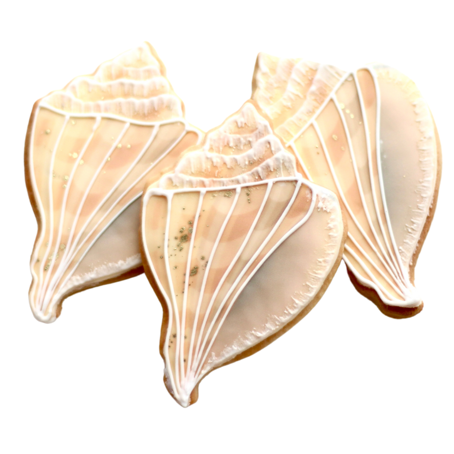 Conch Seashell Cookies