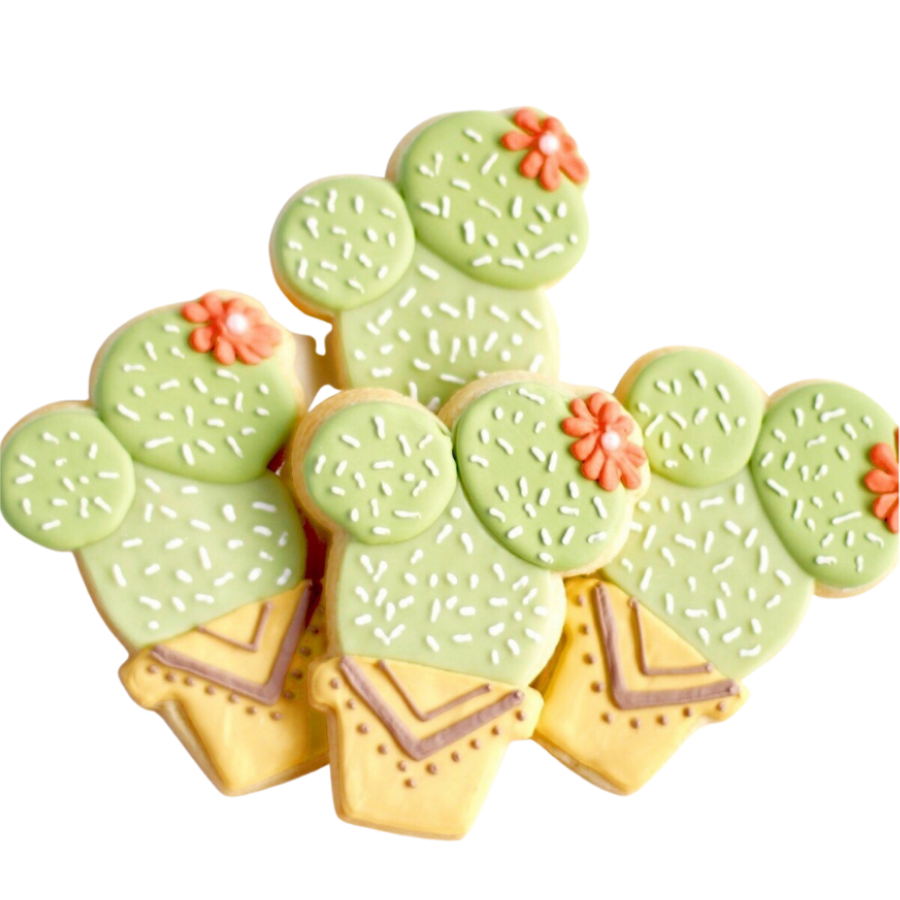 Potted Cactus Cookie Set