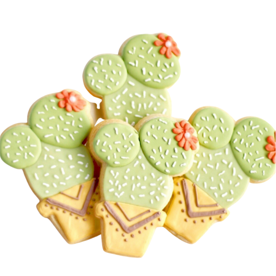 Potted Cactus Cookie Set – Sweet Sanctions
