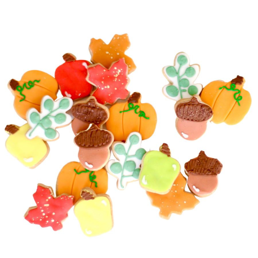 Mini Fall Cookie Set