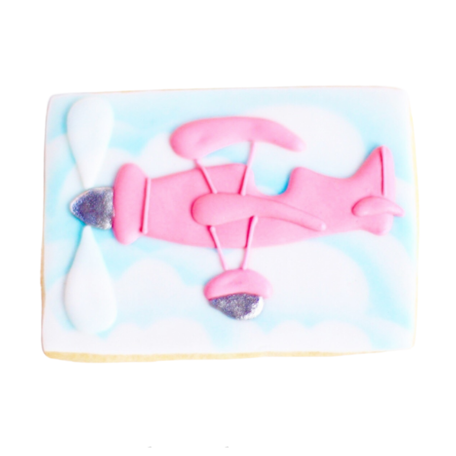 Vintage Sky Plane Cookies